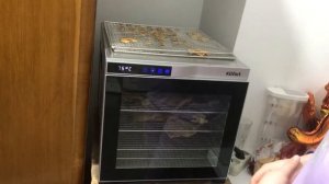 Готовим лакомства для собаки! Обзор на дегидратор Китфорт КТ-1910