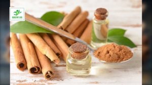 10 Impressive Health Benefits of Cinnamon   Healthy Life