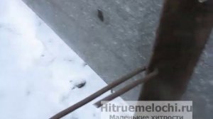 Как сделать три грядки в теплице