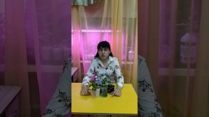 суспензия хлореллы своими руками - чудо-подкормка для растений и рассады