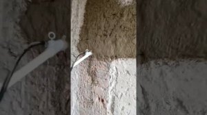 Запуск штукатурной станции Серта Мастер на объекте