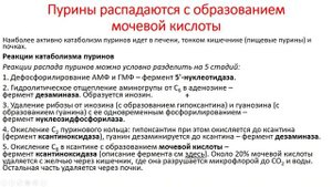 Биохимия. Лекция 45. Обмен азотистых оснований и нуклеотидов. Обмен пуринов