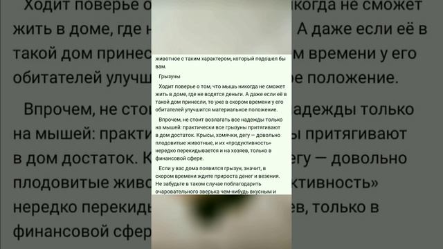 #детииживотные #собакадругчеловека #домашниеживотные #домашниелюбимцы #питомцыдома #собакалучшийдру
