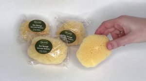 KALLISTON Губка натуральная МОРСКАЯ, спонж для умывания, Греция о  Крит
