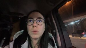 Путешествие с пушистым пассажиром: перевозка собаки из России в Турцию через Грузию