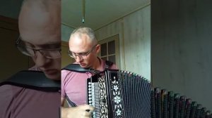 Тико Тико гармонь