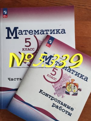 математика 5 класс номер 5.339