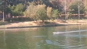 самодельный катер своими руками