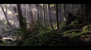 4K Forest - Cinematic Forest - 4K Nature Video Ultra HD (1)