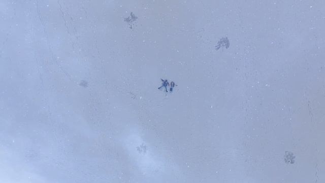 Нежный стих о любви"А помнишь? Помнишь первое свиданье"Ольга Конькова Мороз.Читает Андрей Лукашенко