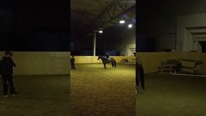 Девочка упала с лошади