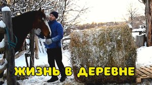 КУПИЛИ ДОМ В ДЕРЕВНЕ. ДЕРЕВЕНСКИЕ БУДНИ И СТРОИТЕЛЬСТВО БОЛЬШОГО САРАЯ
