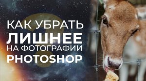 Как убрать лишнее на фотографии в Photoshop?