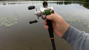 Shimano Calcutta 201 DC - старый друг лучше новых двух. Обзор