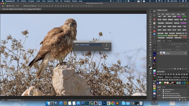 CONVERTIRE PROFILO COLORE DA ADOBE RGB A SRGB смотреть онлайн