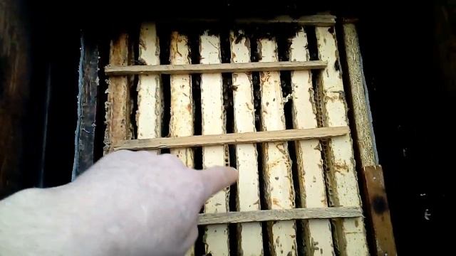 Зимовка пчёл с соломенными подушками. 02.02.2018. смотреть онлайн