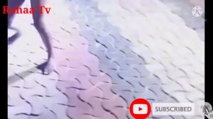 VIDEO: Chura wa buza wakicheza miuno feni kwenye kigodoro