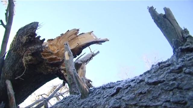 Страшная сказка Берендеева Царства.mpg смотреть онлайн