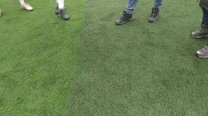 Токтогул - Реал Спорт 0:3. 2й тайм. Кг лига. 1 див. Весна 2022