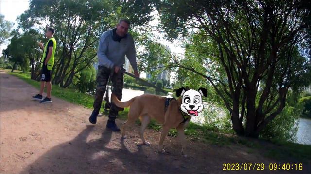 5 вëрст Интернационалистов | Забег № 59 | 29.07.2023 🏃 смотреть онлайн