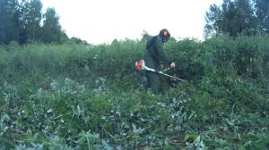 Мотокоса Stihl FS 55 и 20 соток бурьяна. Отзыв после 4 лет использования.