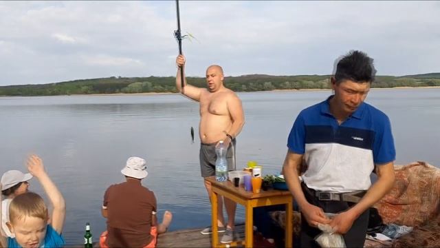 Рыбалка ЖАРКА РЫБЫ НА СКОВОРОДКЕ ИЗ ДИСКА БОРОНЫ