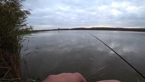 Пробная рыбалка на ФИДЕР Kaida impulse 2 Приловил спустя месяц @Fishing_luck