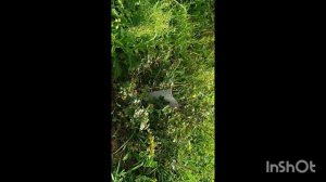 Частично план выполнила, 1 сентября