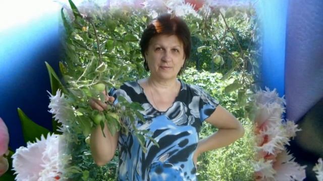 Видео про нас, Бабушки и дедушки. смотреть онлайн