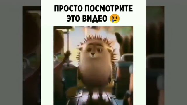 Покажи просто видео