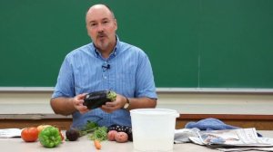 Preparing Vegetables for Exhibition