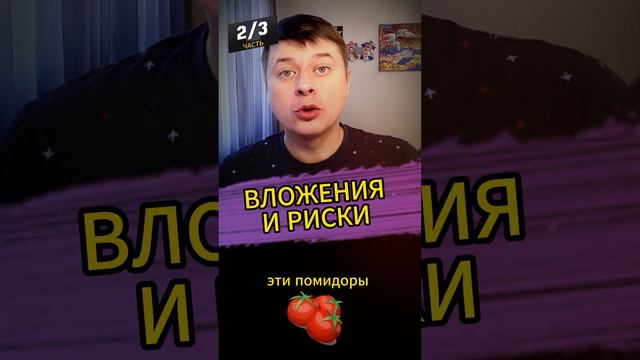 ВЛОЖЕНИЯ И РИСКИ 2-3