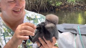 Мартышка и очки.