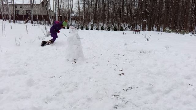 Зимняя прогулка с собакой ЗАВАЛИЛИ СНЕГОВИКА смотреть онлайн