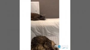 КАК Я РАЗДАЮ ЛИСТОВКИ В 13 ЛЕТ! ДОЛГОЖДАННОЕ ВИДЕО!