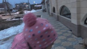 Влоги #ЩЕНКИ #Смешные собаки Идем кормить собачек #ВИДЕО про ЖИВОТНЫХ для детей #Алиса