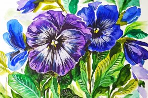 Анютины глазки, как нарисовать цветы акварельными красками.