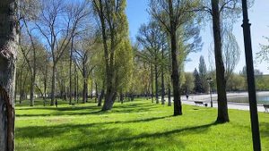 Самара, парк 50-летия октября