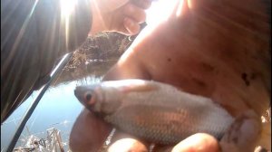 рыбалка ловля плотвы на поплавок в феврале