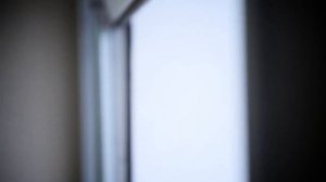 Отзыв о секционных воротах Алютех - Сергей Михайлюк