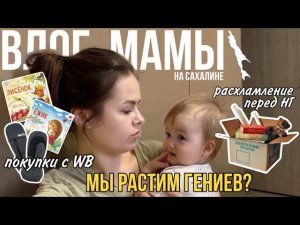 Мы растим гениев? | расхламление перед НГ | покупки на ВБ | развивающие игры | Влог мамы (66)