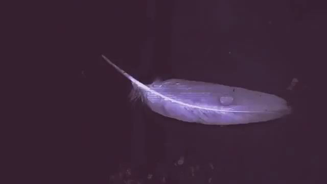 Мечта ребонка | Попробуй не заплачь!!!!😭😢 | 2018 смотреть онлайн