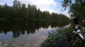 Лещ на микро-джиг!!!