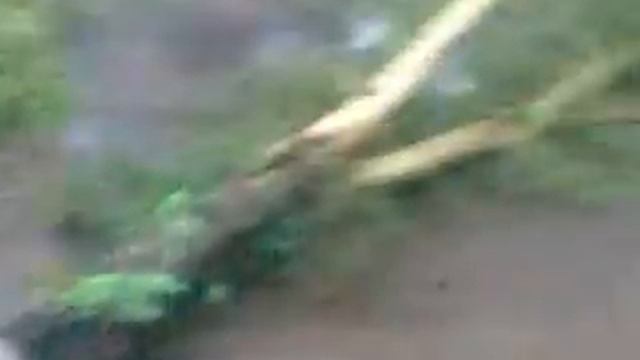 Первые кадры дождика в Рубцовске) смотреть онлайн