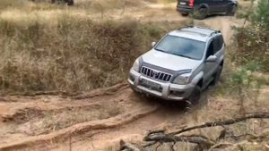 Тойота Прадо 120 по лесу