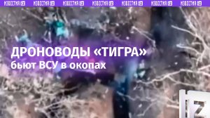 Беспилотчики отряда «Тигр» поражают ВСУ в укреплениях / Известия