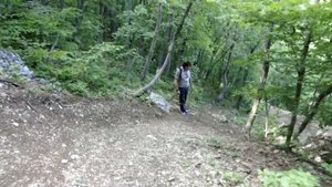 Спуск с Ай-Петри пешком по Кореизской тропе