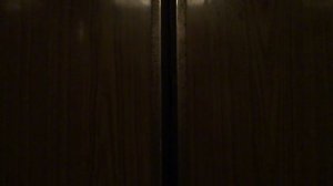 Электрический лифт (г. Королев), V=0,65 м-с, г-п 320 кг (13)