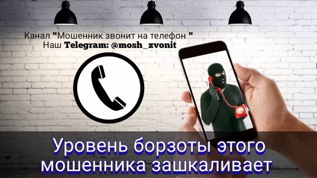 Уровень борзоты этого мошенника зашкаливает смотреть онлайн