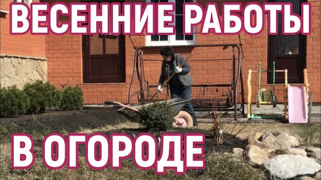 Огород после зимы, побелка деревьев и как всходит чеснок!